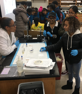 students participating in a science experiment